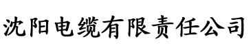 麻豆精品视频在线播放电缆厂logo